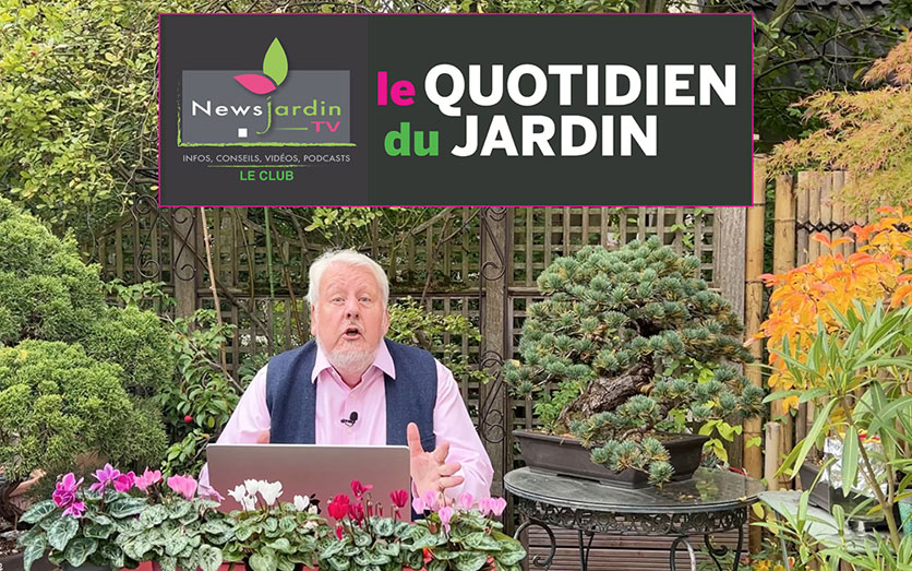 Emission Le quotidien du jardin