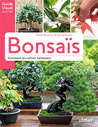 Bonsaïs