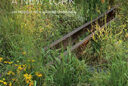Les Jardins de la High Line de New-York