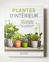 Plantes d’intérieur, 700 plantes vertes et fleuries