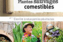 Plantes sauvages comestibles
