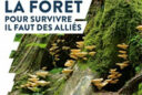 Sous la Forêt