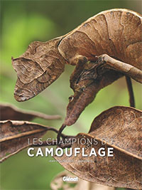 Les champions du camouflage