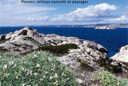 Livre Flore remarquable des Bouches du Rhone