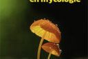 Champignons