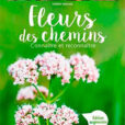 Fleurs des chemins