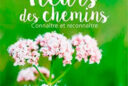 Fleurs des chemins