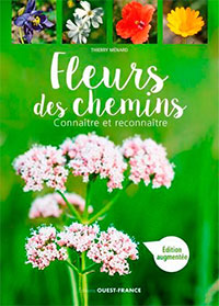 Fleurs des chemins