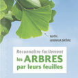 Reconnaître facilement les arbres par leurs feuilles