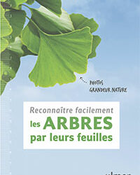 Reconnaître facilement les arbres par leurs feuilles