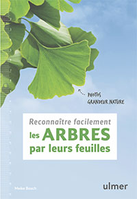 Reconnaître facilement les arbres par leurs feuilles