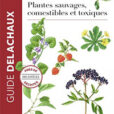 Plantes sauvages, comestibles et toxiques