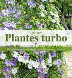 Plantes turbo