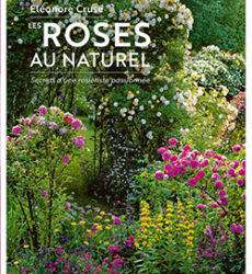 Les roses au naturel