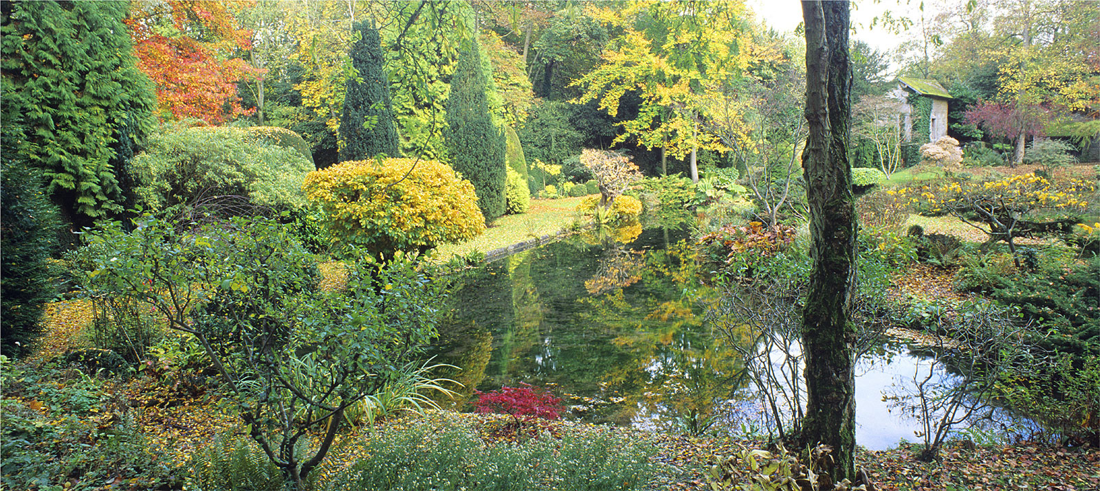 NewsJardinTV Bannière automne