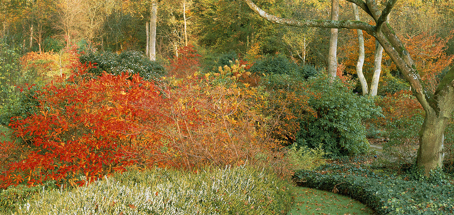 NewsJardinTV Bannière automne