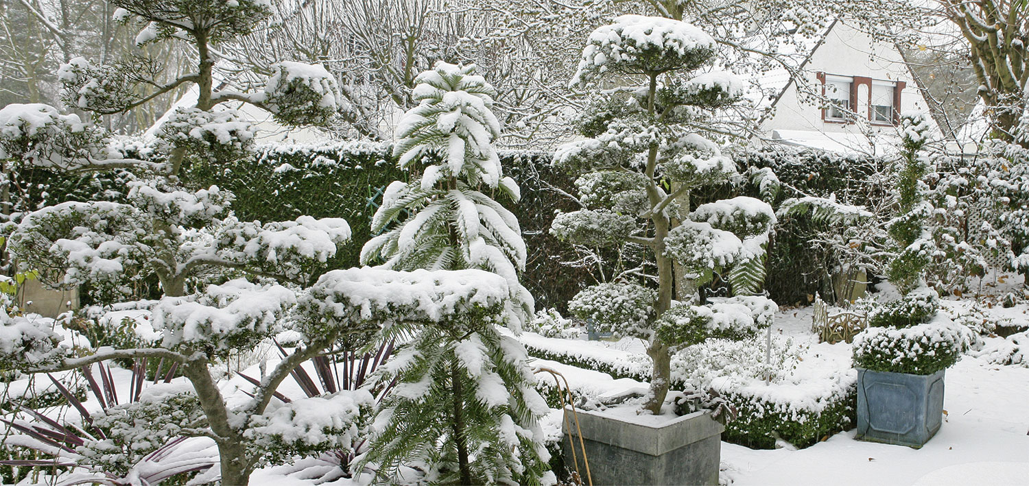 NewsJardinTV Bannière hiver