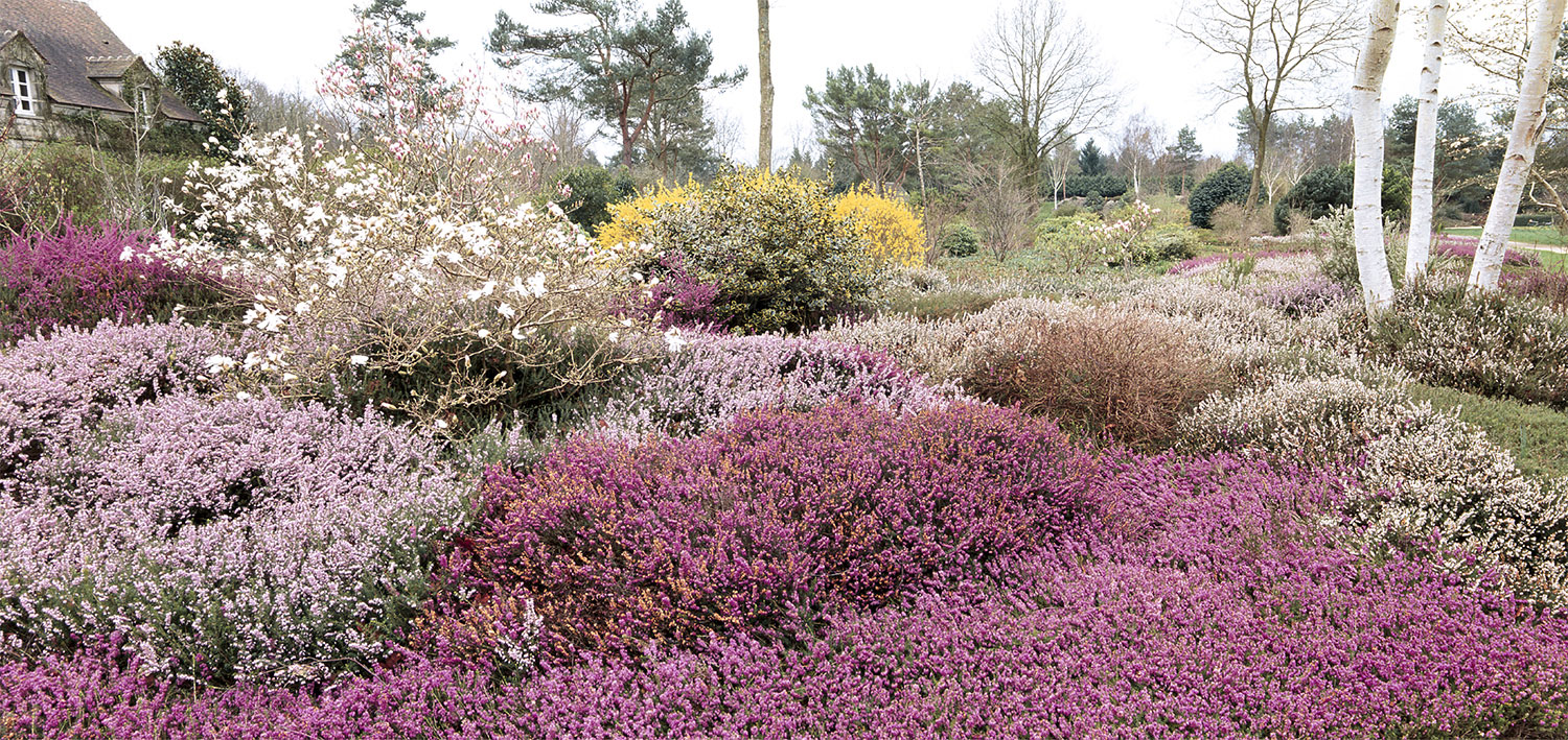 NewsJardinTV Bannière hiver