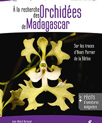 À la recherche des Orchidées de Madagascar