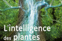 livre L’intelligence des Plantes