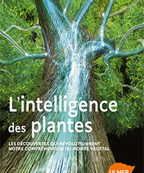 livre L’intelligence des Plantes