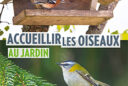 Accueillir les oiseaux au jardin